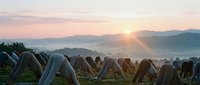 Group of people practicing downward dog yoga pose outdoors at sunrise in misty mountain valley, wellness and fitness training session.