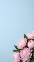 Pink peony bouquet in full bloom arranged in corner on soft blue background with copy space for text or design.