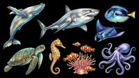 Ocean animals clipart set isolated on transparent background, ready for t-shirt design, stickers, sublimation, and print on demand projects.