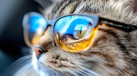 Stylish tabby cat wearing trendy sunglasses with blue and yellow reflective lenses, close-up portrait showing whiskers and fur details for pet fashion concepts.