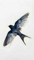 Dark blue swallow in flight with gold-trimmed wings and tail feathers, rendered in watercolor on cream background. Suitable for nature art, wildlife illustration, and decorative design projects.