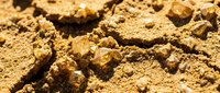Dry cracked brown soil texture with rough clumps and fragments scattered across surface showing drought conditions and arid earth patterns.
