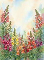 Watercolor snapdragon flowers in pink, yellow, orange and purple blooming in a garden with soft pastel background and copy space.
