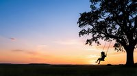 Silhouette of child swinging on rope attached to tree at sunset, outdoor recreation and childhood joy for editorial and lifestyle content.