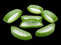 Fresh aloe vera slices isolated on transparent background, ready for t-shirt design, stickers, clipart, print on demand, and sublimation projects.