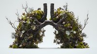 Anatomical lungs created from natural elements showing bronchi made of tree branches, moss, and leaves against white background, medical art concept.