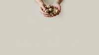 Caucasian hands holding fresh potatoes against neutral beige background, suitable for organic food, agriculture, and cooking content.