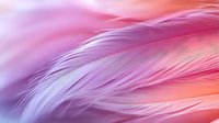 Delicate feathers in soft pink and purple hues create dreamy ethereal background with gentle curves and flowing lines. Macro photography reveals intricate feather texture.