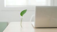 Green plant sprout in glass vase on wooden desk beside laptop, symbolizing eco-friendly business, sustainability, and growth in modern workspace.