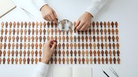 Professional dermatologist examining diverse skin tone color chart with magnifying glass for cosmetic matching and medical assessment in clinical setting.