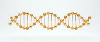 Golden DNA double helix structure with spheres connected by lines on white background, isolated for scientific, medical, biotechnology, and educational design use.