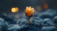 Delicate orange flower blooming at dusk with bokeh lights in background, moody dark blue tones create dreamy atmospheric nature photography.