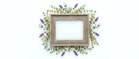 Wooden frame surrounded by fresh lavender flowers and green foliage on white background, suitable for greeting cards, invitations, and decorative design projects.
