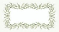 Elegant olive branch frame border with green leaves on white background for wedding invitations, certificates and decorative design projects.