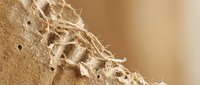Extreme close-up macro photography of frayed rope fibers showing detailed texture and natural wear patterns on warm beige background.