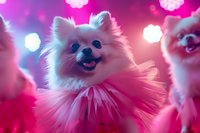Smiling Pomeranian dog wearing pink tutu against blurred bokeh lights in magenta and blue tones, creating dreamy atmosphere for pet photography.