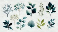 Watercolor botanical elements with eucalyptus, leaves, and greenery branches in teal and sage green tones on white background.