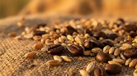 Roasted coffee beans scattered on burlap fabric with warm golden lighting, suitable for beverage packaging, café branding, and food industry marketing materials.