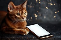 Abyssinian cat lying near smartphone with glowing screen against dark background with bokeh lights, modern pet lifestyle concept for social media and apps.