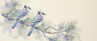 Two blue jays perched on pine branch with soft watercolor style painting on light background for nature art and home decor projects.