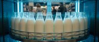 Glass milk bottles on industrial conveyor belt in modern dairy processing facility with blue lighting and automated production line.