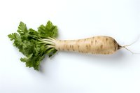 Fresh parsley root vegetable with green leaves isolated on white background, raw organic produce for cooking and food preparation.