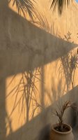 Tropical palm leaf shadows cast on textured concrete wall during golden hour sunlight creating natural patterns for interior design and architecture.