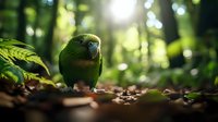 Green parrot standing on forest floor amid fallen leaves and natural sunlight streaming through trees, creating magical woodland atmosphere with soft bokeh effect.