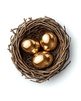 Golden eggs nestled in natural brown twig nest isolated on white background, symbolizing wealth, investment and financial security concepts.