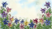 Watercolor columbine flowers border in purple, blue, pink and yellow with green leaves on soft background, copy space for text.