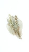 Watercolor dried grass bundle with soft neutral tones, isolated on white background. Suitable for botanical art, home decor, wedding invitations, and design projects.