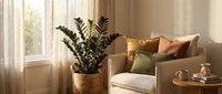 Cozy modern living room corner with beige sofa, colorful throw pillows, potted plant in wicker basket, and warm natural sunlight streaming through window.