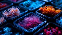 Vibrant coral specimens in plastic containers glowing with neon colors under ultraviolet light, showcasing marine biology collection in scientific laboratory setting.