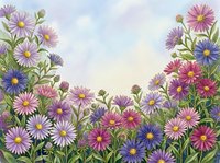 Watercolor wildflower meadow with purple pink asters and daisies blooming in spring garden border frame against soft pastel sky background for nature design.