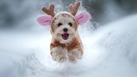 Happy small dog wearing reindeer antlers costume running through fresh snow in winter landscape, creating powder spray during playful outdoor activity.