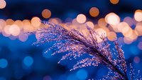 Delicate purple grass plume against blurred bokeh lights background in blue and orange tones creates dreamy atmospheric nature composition.