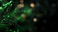 Glowing emerald green flower petals with sparkling dew drops against dark background, magical bokeh lights create dreamy atmosphere. Macro nature photography.