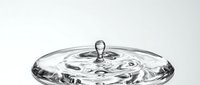 Water drop creating ripples and splash on clear surface with transparent droplet frozen in mid-air against clean white background for design projects.