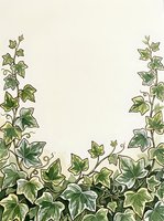 Ivy vines with green leaves border the bottom and sides of a cream background, creating a natural frame for text or design elements. Suitable for invitations, stationery, and botanical-themed projects.