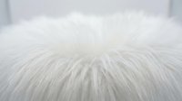 Soft white fluffy fur texture background with long silky fibers creating luxurious carpet or rug surface for cozy interior design and comfort concepts.
