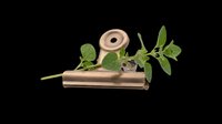 Wooden flute with fresh green leaves and natural elements isolated on transparent background. Ready for clipart, t-shirt design, print-on-demand, sublimation, and sticker applications.