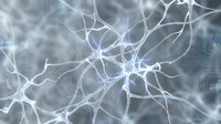 Abstract neural network pathways with glowing white and blue interconnected lines forming a complex web structure, suitable for technology, artificial intelligence, data science, and digital innovation concepts.