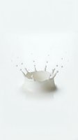 White milk splash crown with droplets on clean background for dairy product advertising and beverage marketing campaigns.