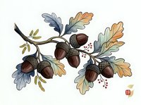 Watercolor oak branches with acorns and autumn leaves in muted tones, isolated on white background. Suitable for fall designs, botanical illustrations, and seasonal graphics.