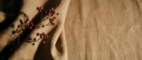 Dried red berries branch on soft beige linen fabric with natural shadows, warm autumn aesthetic for lifestyle, fashion, and home decor content.