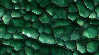 Emerald green cracked texture with dark fissures creating organic cellular pattern. Abstract background with natural stone or mineral appearance for luxury design.