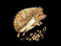 Adorable hedgehog with spiky quills and cream belly, isolated on transparent background. Ready for t-shirts, stickers, clipart, sublimation, and print-on-demand designs.