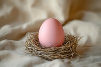 Single pink egg resting in small natural straw nest against soft white fabric background, creating gentle minimalist composition with selective focus.