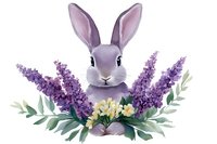 Gentle gray bunny surrounded by purple lavender flowers and yellow blooms with green foliage, artistic spring composition on white background.