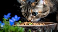 Curious calico cat eating dry food from brown bowl, with vibrant blue flowers in foreground. Close-up portrait shows detailed whiskers and bright blue eyes.
